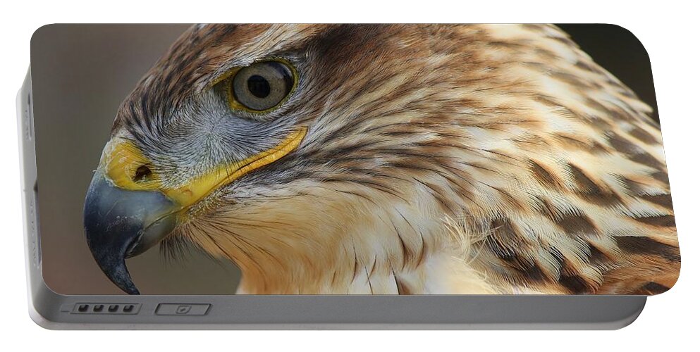 Birds Portable Battery Charger featuring the photograph Ferruginous Hawk #1 by Paulette Thomas