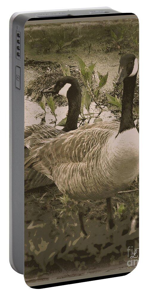 Geese Portable Battery Charger featuring the photograph Geese by Leslie Revels