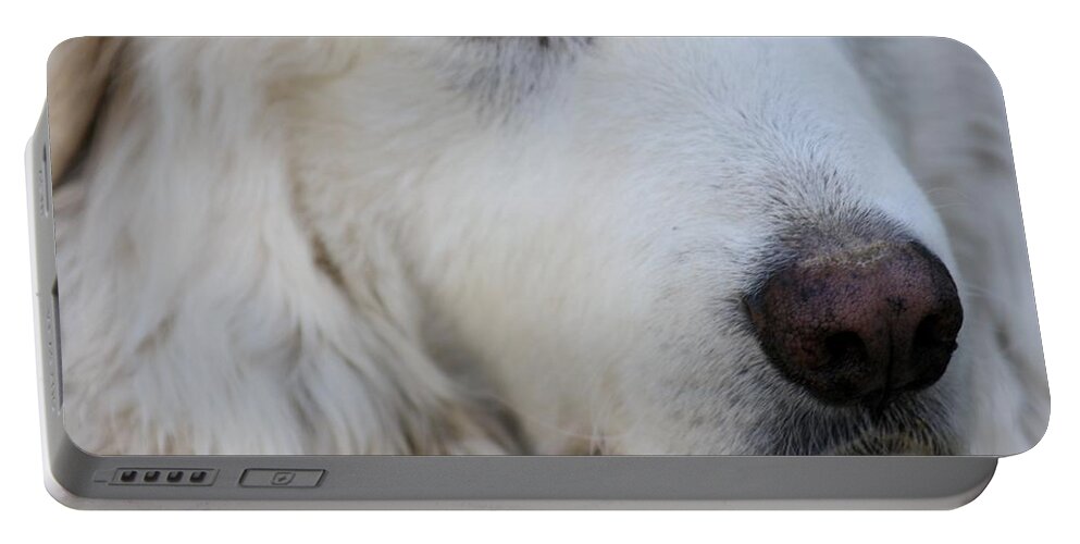 Dog Portable Battery Charger featuring the photograph Great Pyrenees by Kim Galluzzo Wozniak