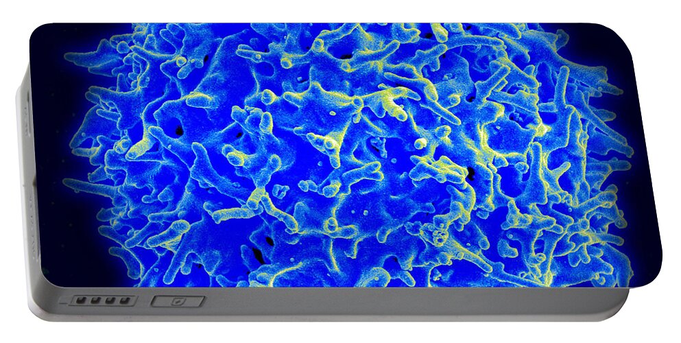Biology Portable Battery Charger featuring the photograph Healthy Human T Cell, Sem by Science Source