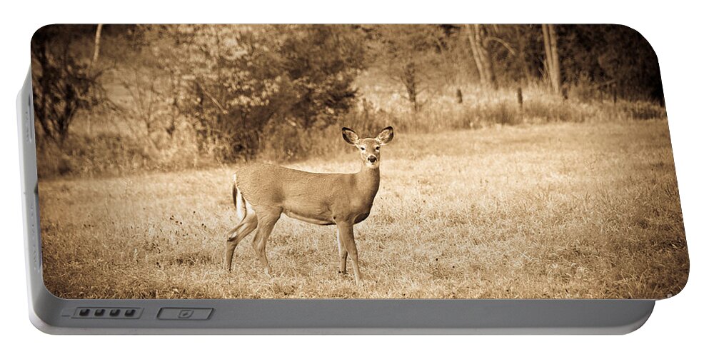 Deer Portable Battery Charger featuring the photograph Hello Deer #1 by Cheryl Baxter