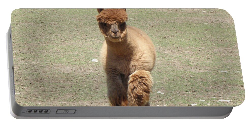 Alpaca Portable Battery Charger featuring the photograph Here we come by Kim Galluzzo Wozniak