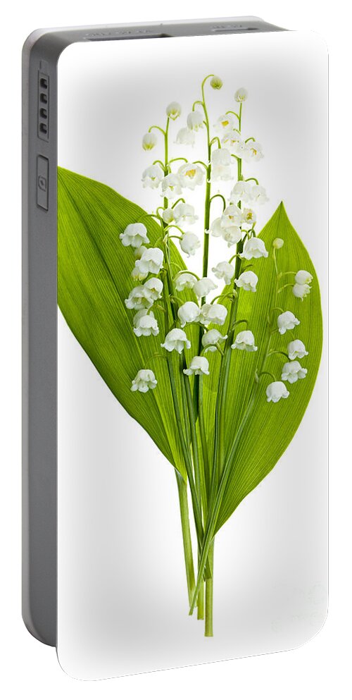 Flower Portable Battery Charger featuring the photograph Lily-of-the-valley flowers #4 by Elena Elisseeva
