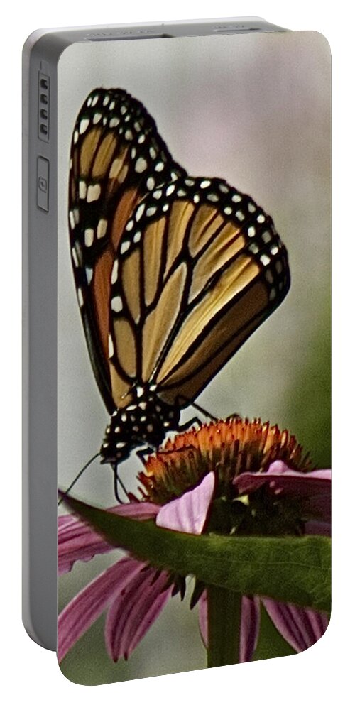 Monarch Butterfly Portable Battery Charger featuring the photograph Monarch Butterfly by Suanne Forster