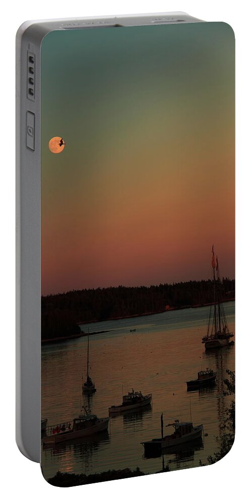 Seascape Portable Battery Charger featuring the photograph Moonlight Flight #1 by Doug Mills