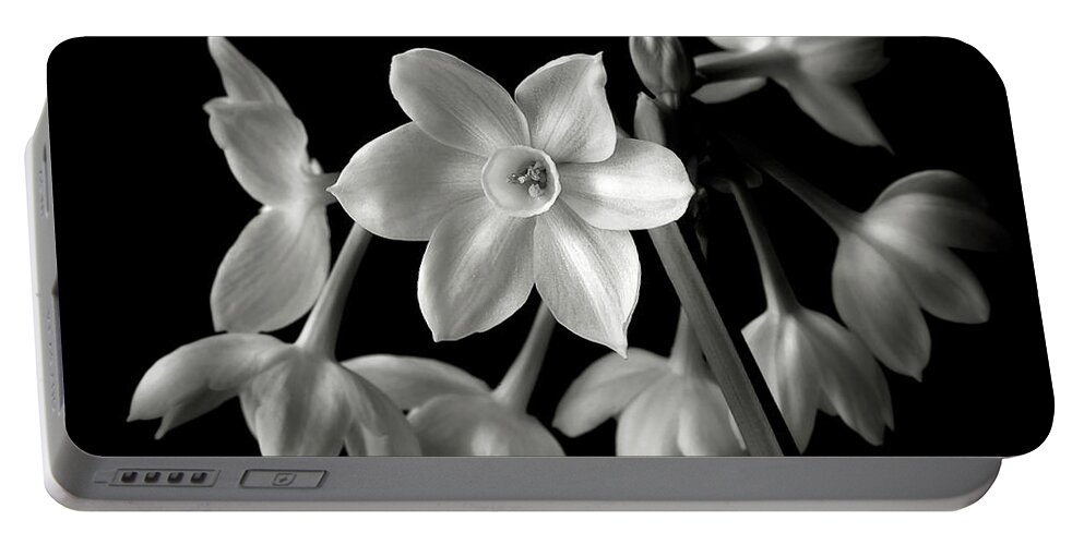 Flower Portable Battery Charger featuring the photograph Narcissus in Black and White #1 by Endre Balogh