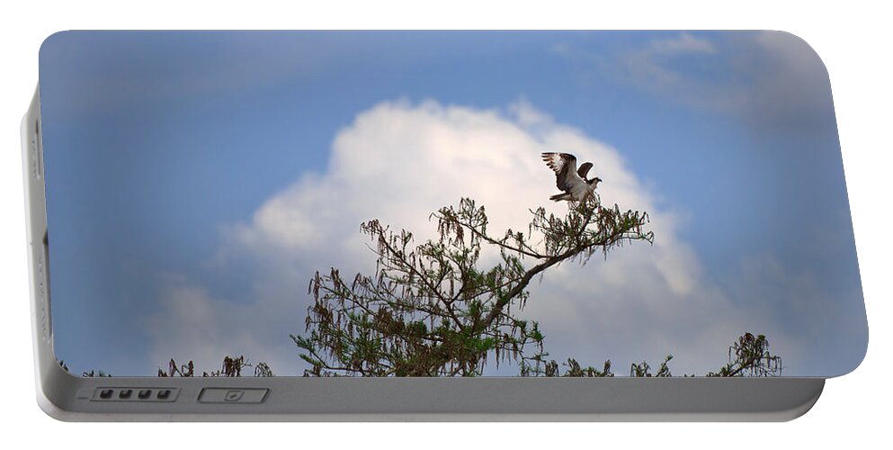 Osprey Portable Battery Charger featuring the photograph Osprey #1 by Louise Heusinkveld