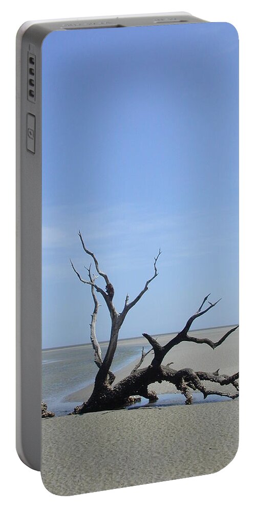  Portable Battery Charger featuring the photograph Ossabaw #1 by John Gholson