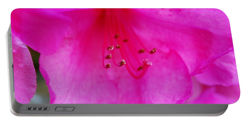 Macro Portable Battery Charger featuring the photograph Pink Passion #1 by Michael Merry