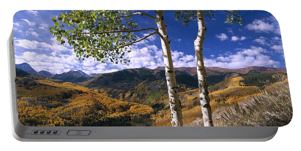00174988 Portable Battery Charger featuring the photograph Quaking Aspen Trees In Fall Colors #1 by Tim Fitzharris