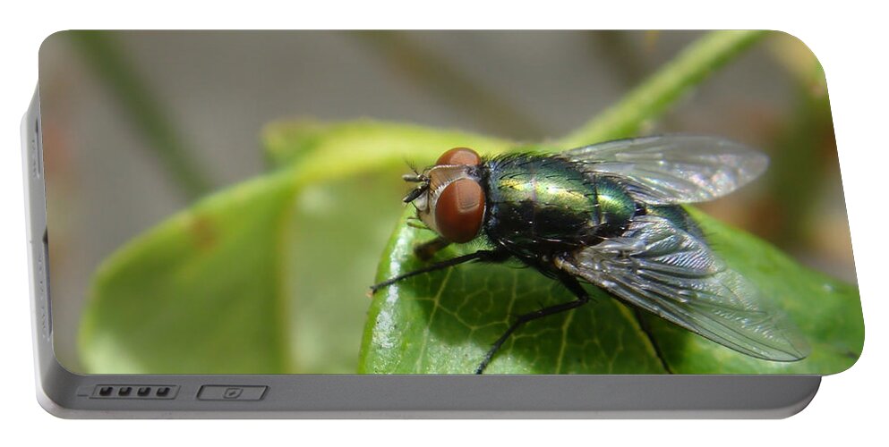 Fly Portable Battery Charger featuring the photograph Red Eye Flight #2 by Donna Blackhall