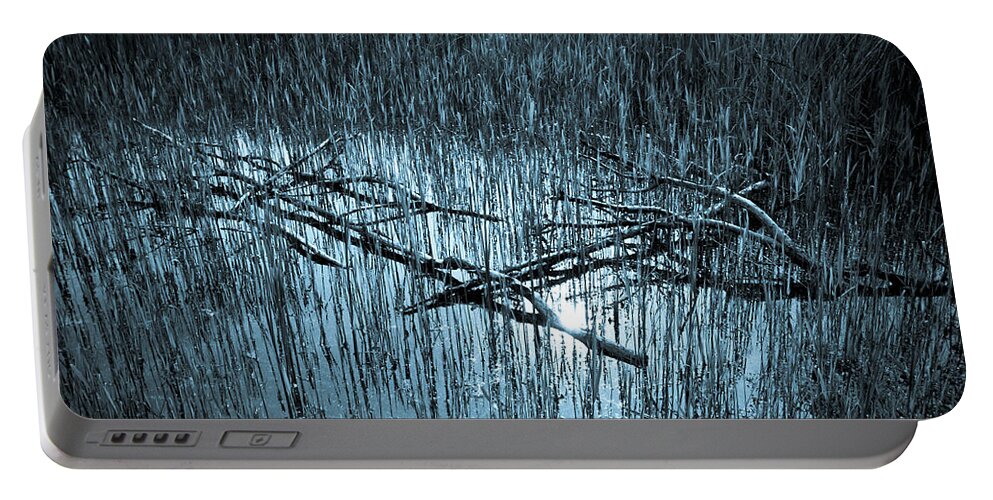 Reeds Portable Battery Charger featuring the photograph Reeds and Tree Branches #1 by David Pyatt