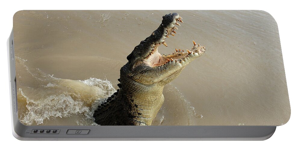 Salt Water Crocodile Portable Battery Charger featuring the photograph Salt Water Crocodile 2 #1 by Bob Christopher