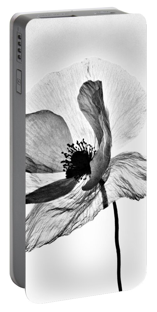 Poppy Portable Battery Charger featuring the photograph Standing Alone by Marianna Mills