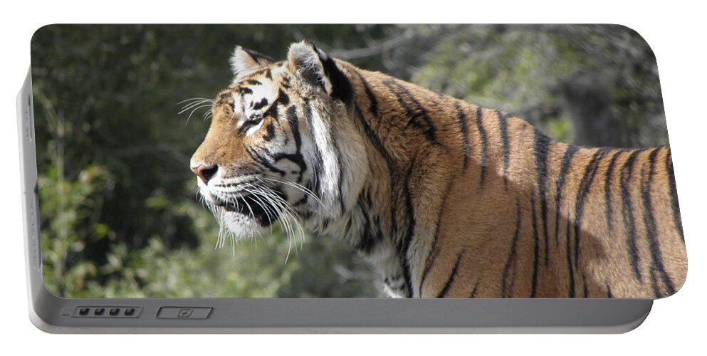 Tiger Portable Battery Charger featuring the photograph Tiger #1 by Kim Galluzzo