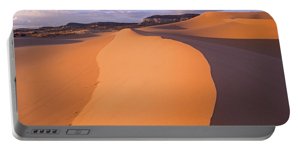 00175735 Portable Battery Charger featuring the photograph Wind Ripples In Sand Dunes #1 by Tim Fitzharris