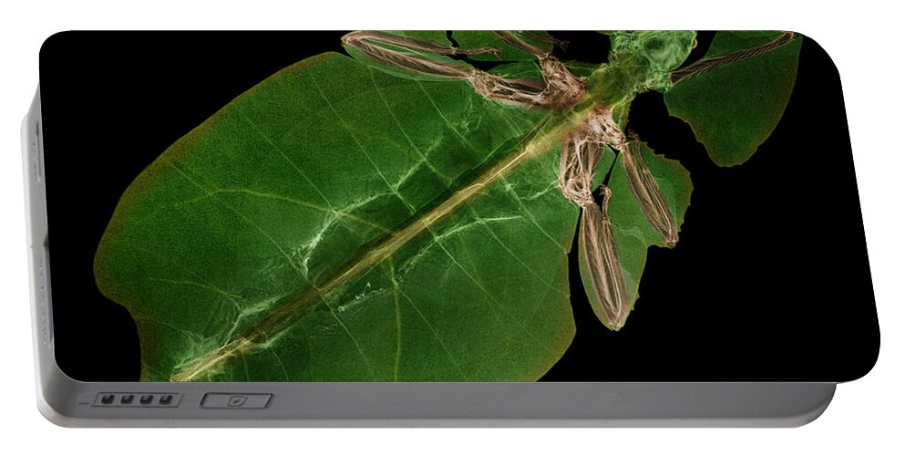 Giant Leaf Insect Portable Battery Charger featuring the X-ray Of A Giant Leaf Insect #1 by Ted Kinsman