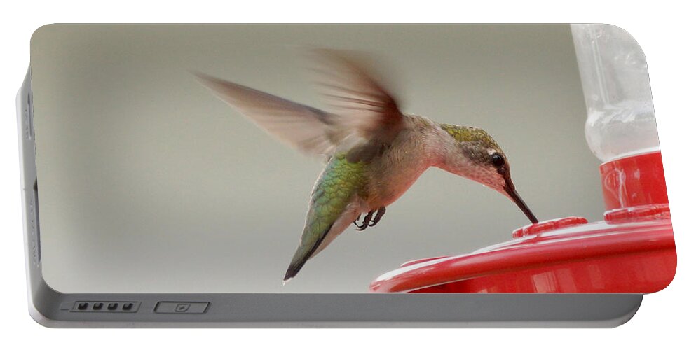 Birds Portable Battery Charger featuring the photograph Hummingbird #13 by Lori Tordsen