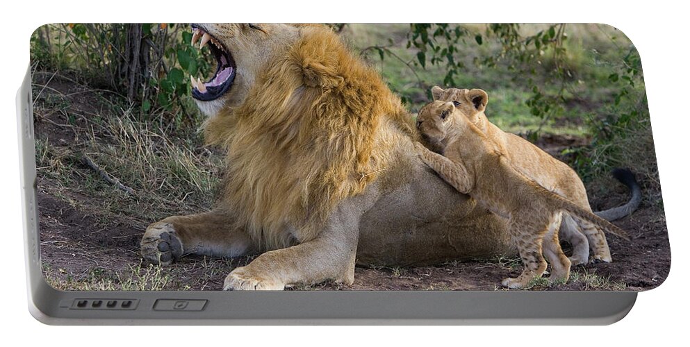 Mp Portable Battery Charger featuring the photograph African Lion Panthera Leo Seven #2 by Suzi Eszterhas