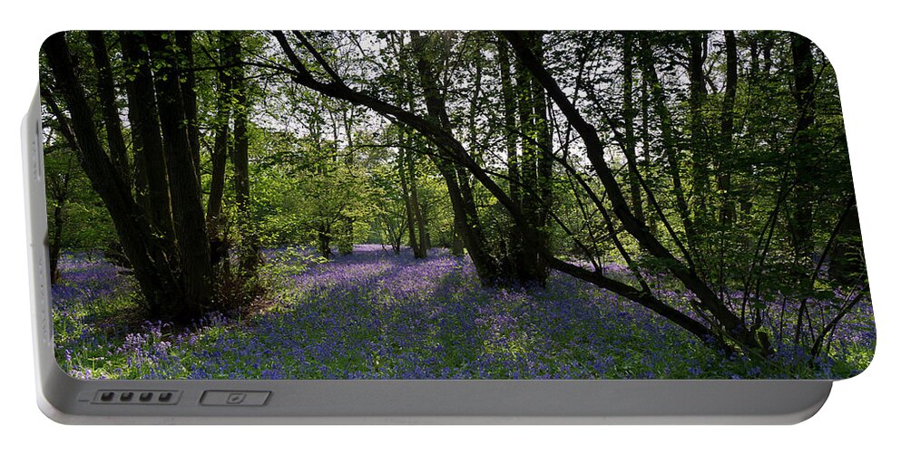 Bluebells Portable Battery Charger featuring the photograph Bluebell woods #2 by Gary Eason