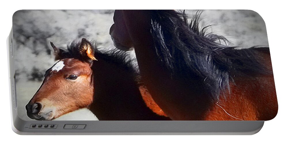 Horse Portable Battery Charger featuring the photograph Costilla County #2 by Terry Fiala