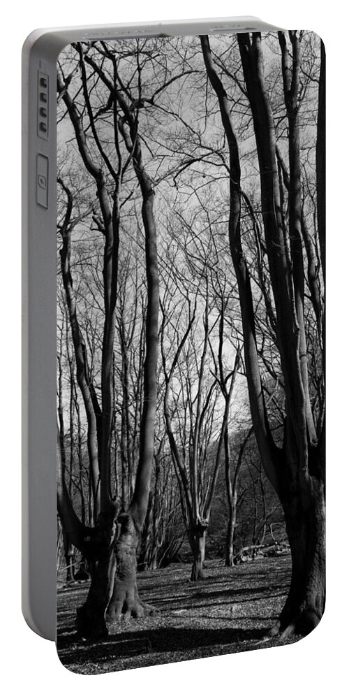 Epping Portable Battery Charger featuring the photograph Epping Forest #2 by David Pyatt