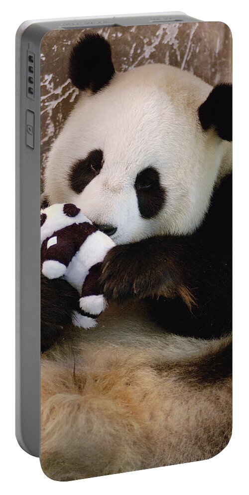 Mp Portable Battery Charger featuring the photograph Giant Panda Ailuropoda Melanoleuca #2 by Katherine Feng