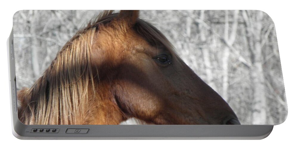 Horse Portable Battery Charger featuring the photograph Like My Profile #2 by Kim Galluzzo