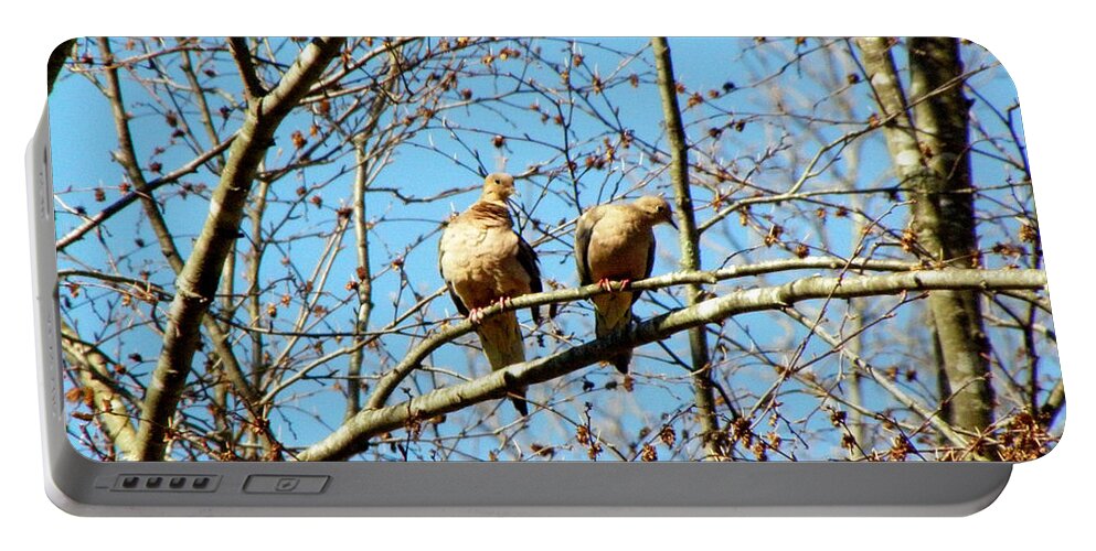 Morning Doves Portable Battery Charger featuring the photograph 2 Not Turtle Doves by Kim Galluzzo