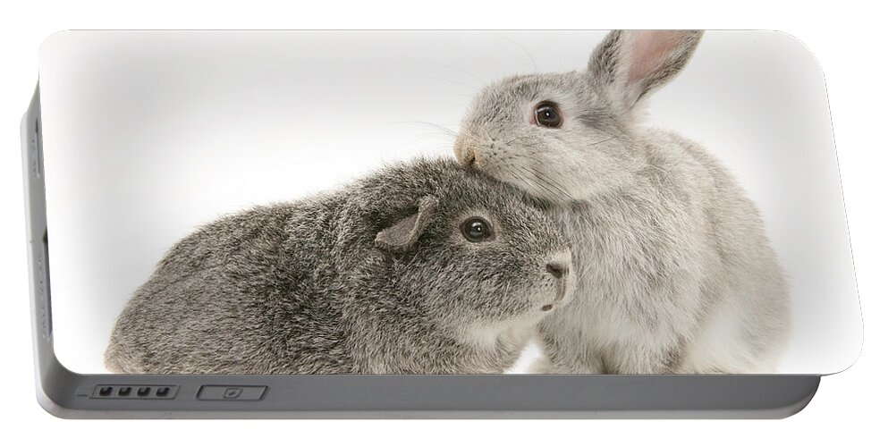 Animal Portable Battery Charger featuring the photograph Rabbit And Guinea Pig #2 by Jane Burton
