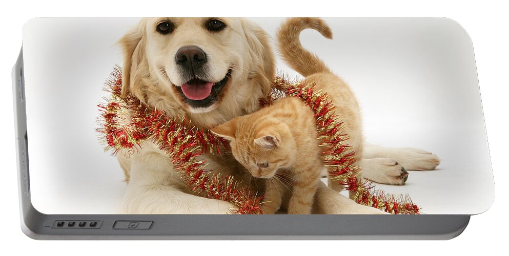 Animal Portable Battery Charger featuring the photograph Retriever And Kitten #2 by Jane Burton