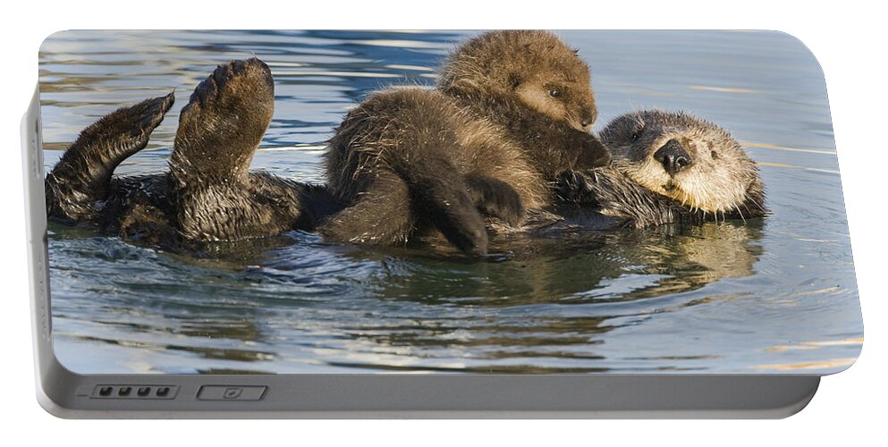 00429659 Portable Battery Charger featuring the photograph Sea Otter Mother And Pup Elkhorn Slough by Sebastian Kennerknecht