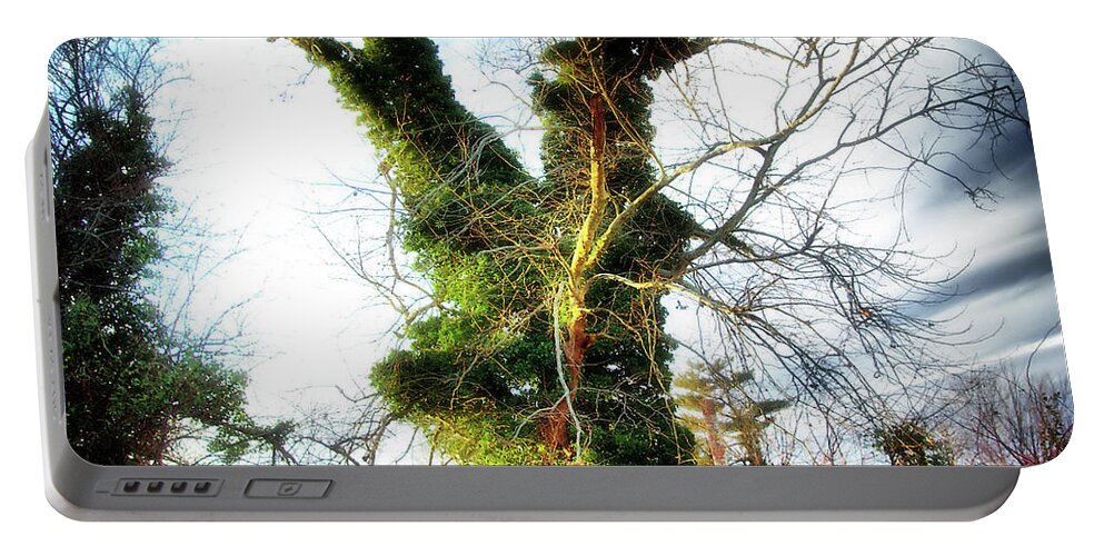 2d Portable Battery Charger featuring the photograph The Tree #6 by Brian Wallace