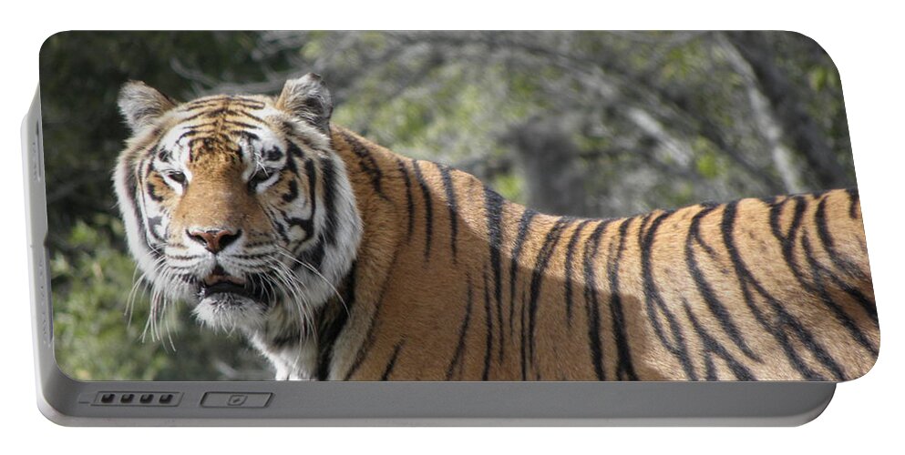 Tiger Portable Battery Charger featuring the photograph Tiger #2 by Kim Galluzzo