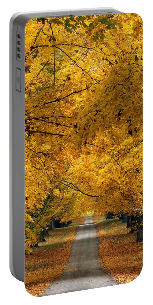 Autumn Colors Portable Battery Charger featuring the photograph Trees In Autumn #2 by Natural Selection Tony Sweet