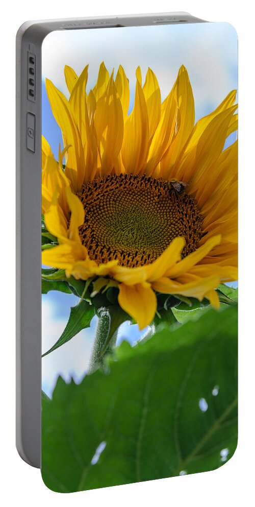Orange Portable Battery Charger featuring the photograph Sunflower #3 by Michael Goyberg
