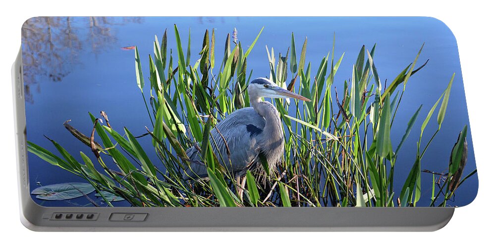 Great Blue Heron Portable Battery Charger featuring the photograph 30- Great Blue Heron by Joseph Keane