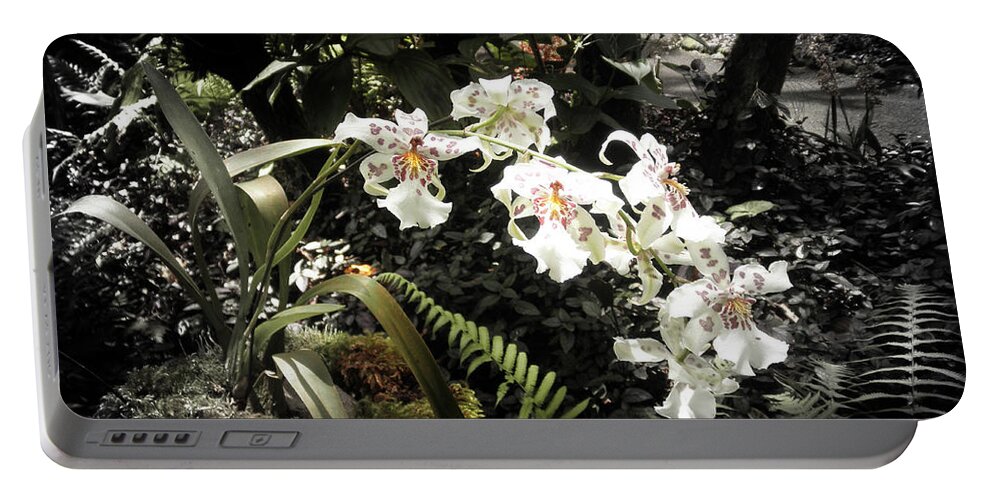 Flowers Portable Battery Charger featuring the photograph Orchids #4 by Gina De Gorna