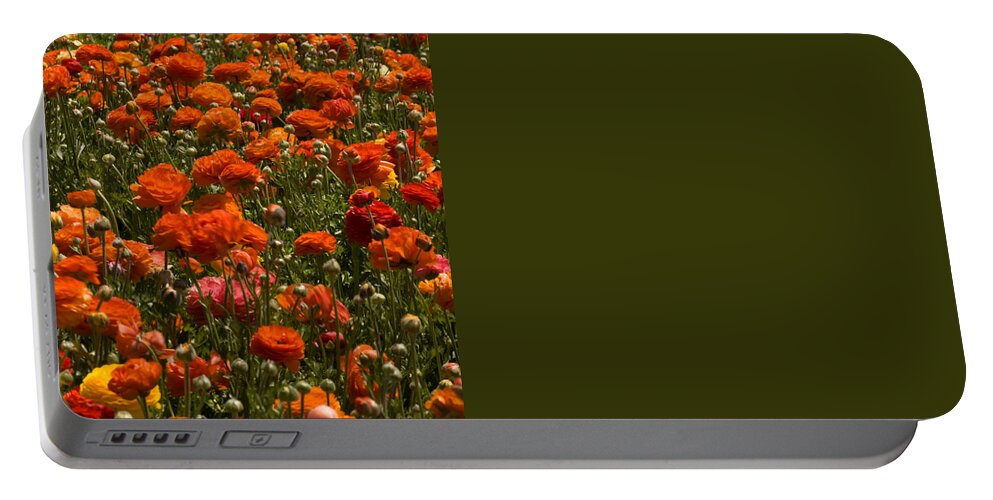 Flowers Portable Battery Charger featuring the photograph Flower Fields #45 by Daniel Knighton