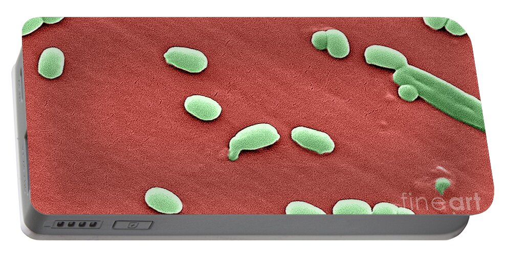 Science Portable Battery Charger featuring the photograph Anthrax Bacteria, Sem #6 by Science Source