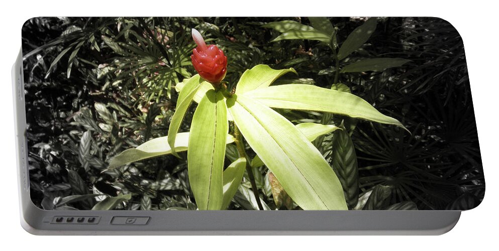Flowers Portable Battery Charger featuring the photograph Tropical Flower #9 by Gina De Gorna