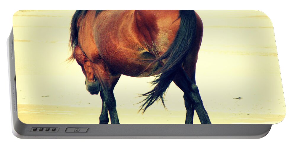 Wild Spanish Mustang Portable Battery Charger featuring the photograph A beach stroll by Kim Galluzzo Wozniak