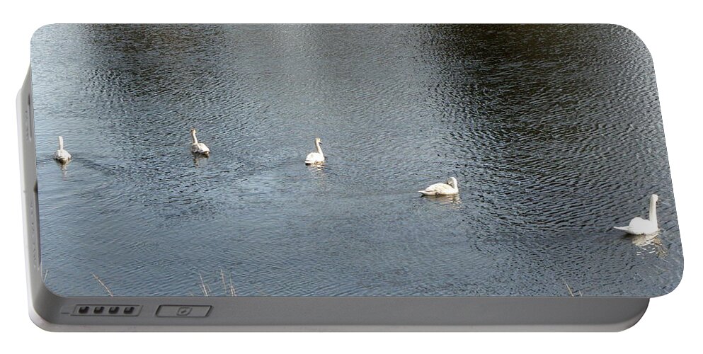 Swan Portable Battery Charger featuring the photograph A family swim by Kim Galluzzo