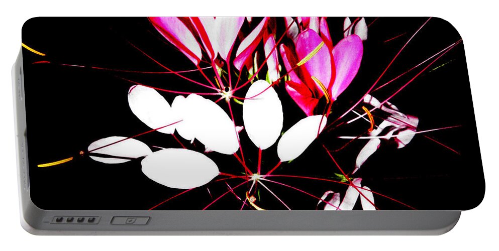 Flower Portable Battery Charger featuring the photograph A Flower Burst At Night by Kim Galluzzo