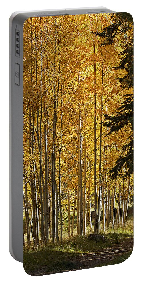Fall Portable Battery Charger featuring the photograph A Golden Trail by Phyllis Denton