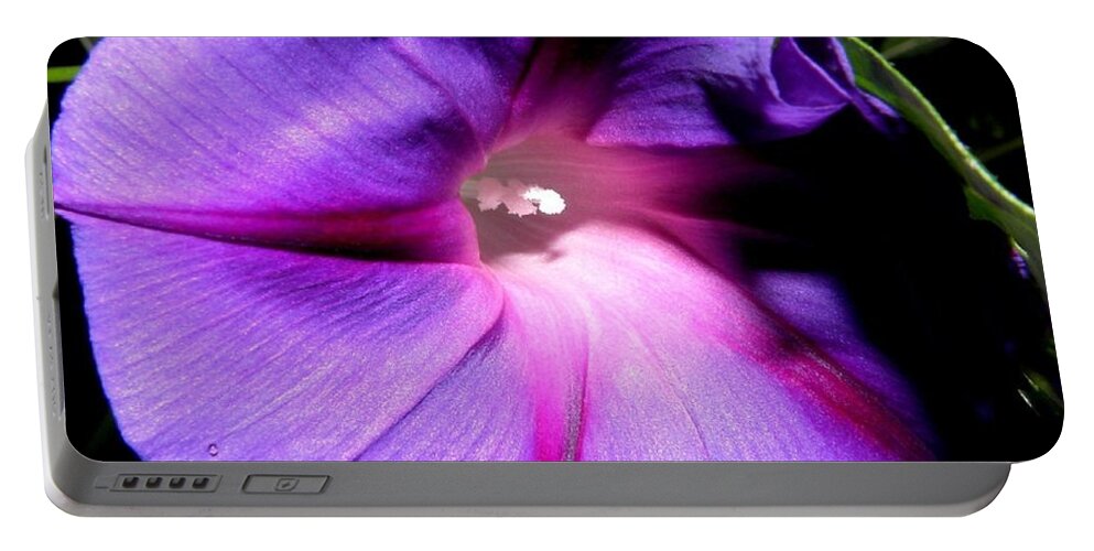 Purply Portable Battery Charger featuring the photograph A Morning Full Of Glory by Kim Galluzzo Wozniak
