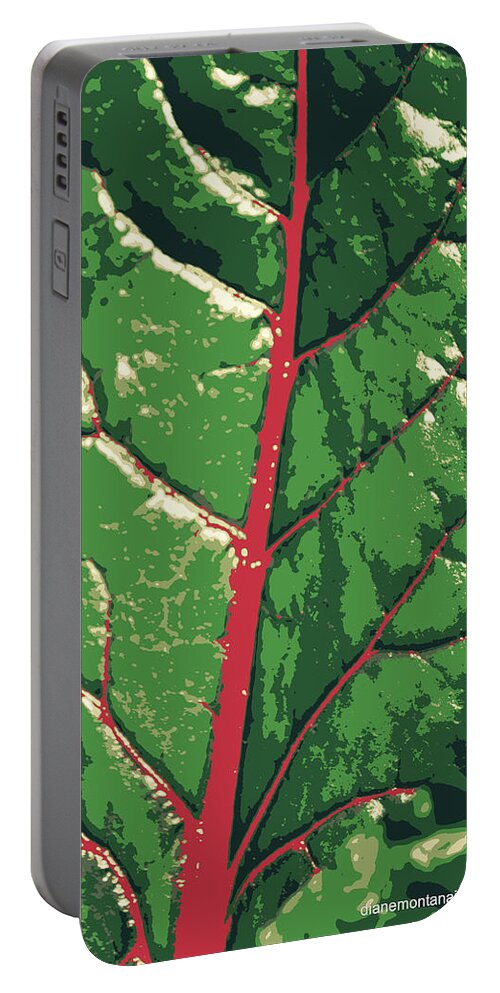 Leaf Portable Battery Charger featuring the photograph A River Runs Through It by Diane montana Jansson