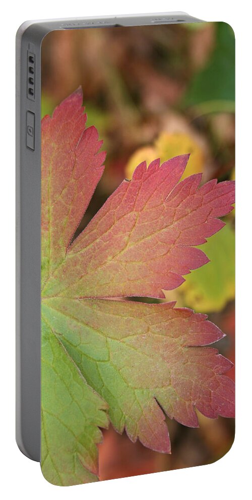 Leaves Portable Battery Charger featuring the photograph A Touch of Fall by Angie Schutt