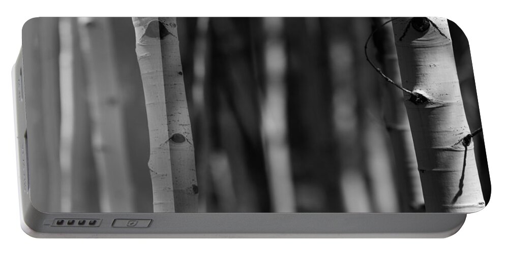 Forest Portable Battery Charger featuring the photograph A Way Out by Mark Ross