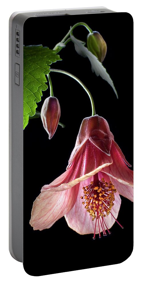 Flower Portable Battery Charger featuring the photograph Ablution by Endre Balogh